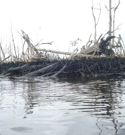 Oil damage Niger Delta
