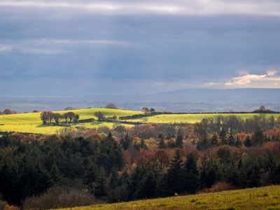 Sussex High Weald