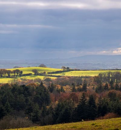 Sussex High Weald