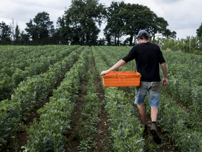 Field Worker UK