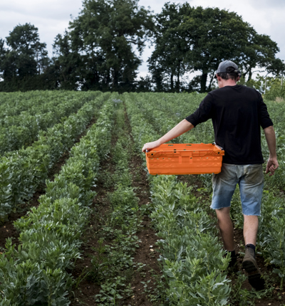 Field Worker UK