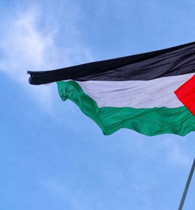 Flag of palestine