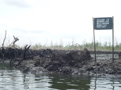 Bille Dead Mangroves 4