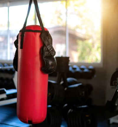 Boxing Arena Gym Equipment 1