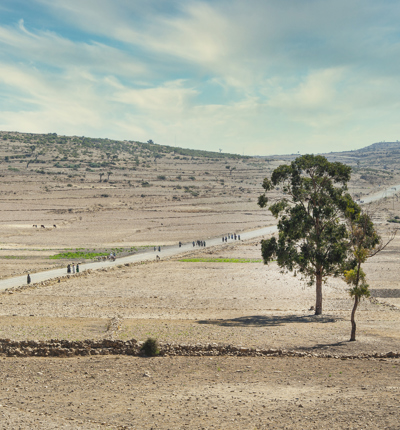 Tigray