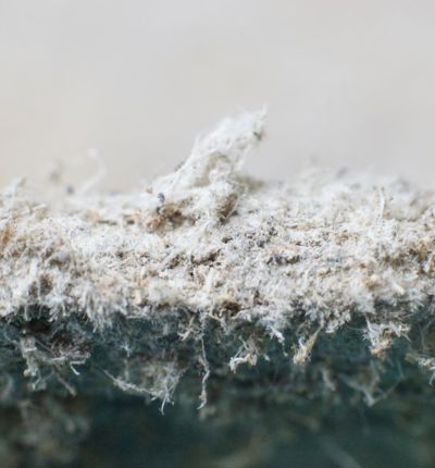 Asbestos Fibres Close Up