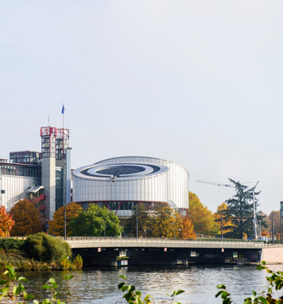 European Court of Human Rights (ECHR)
