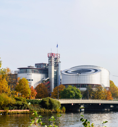 European Court of Human Rights (ECHR)