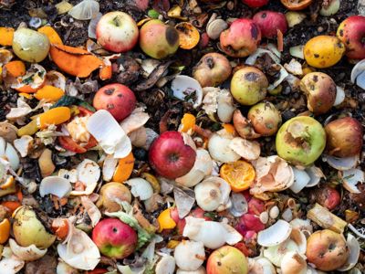 Food Waste