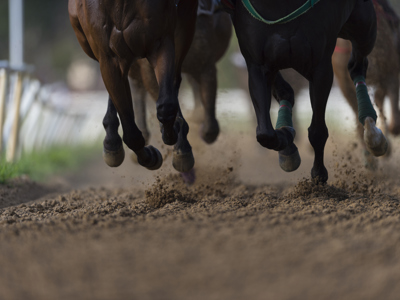 Horse Racing detail, hooves on all weather track
