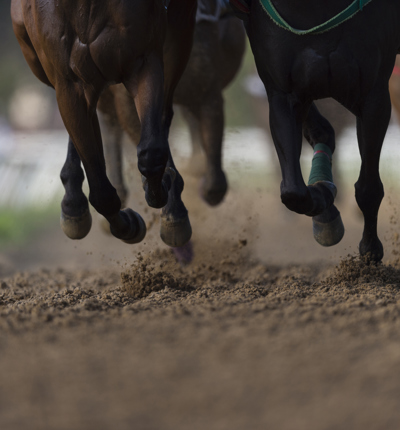 Horse Racing detail, hooves on all weather track