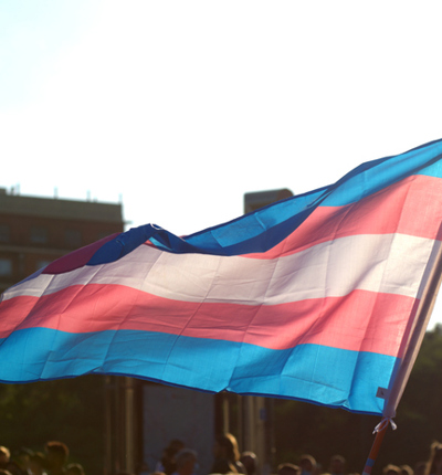 Transgender Pride Flag (1)