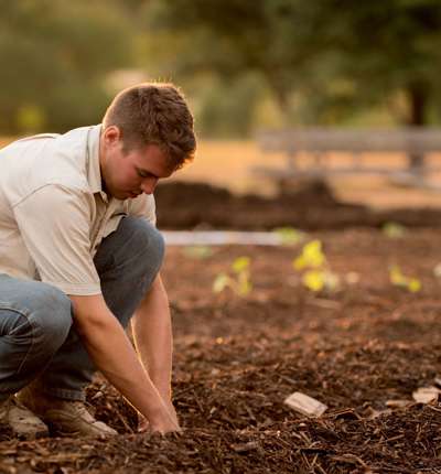 Modern Slavery - Farm Worker