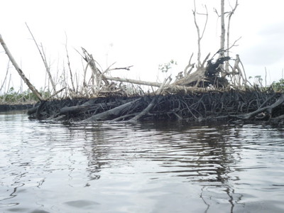 Oil damage Niger Delta