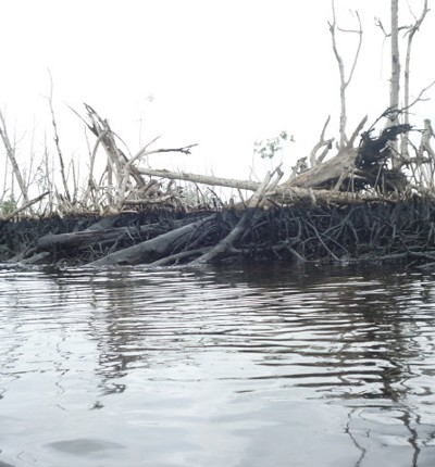 Oil damage Niger Delta