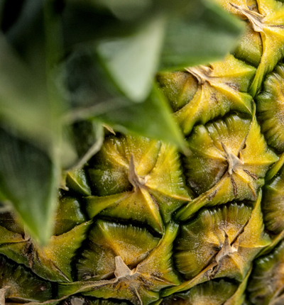 Pineapple
