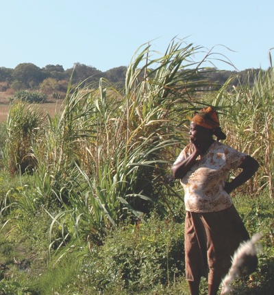 Vedanta Zambia