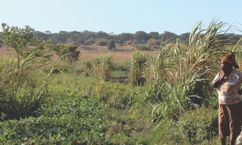 Legal Claim By More Than 2 500 Zambian Villagers In A Case Against 