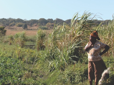 Vedanta Zambia