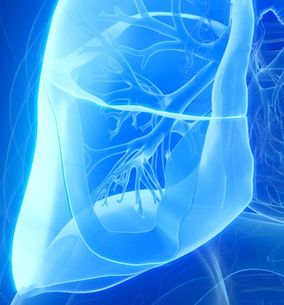 Blue Lungs Image Zoomed 3