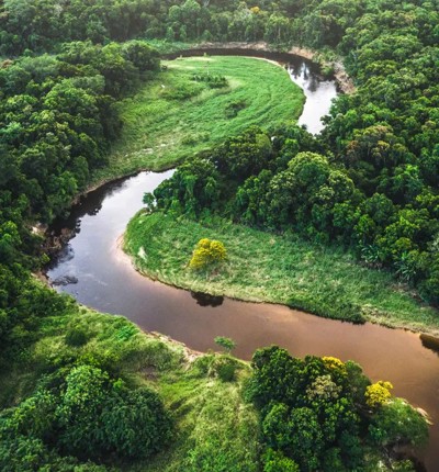 Mata Atlantica Atlantic Forest