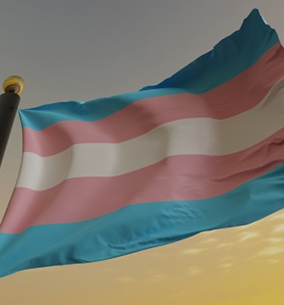 Trans Gender Flag