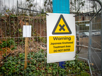 Japanese knotweed treatment sign