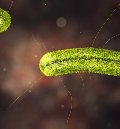 Listeria Food Safety
