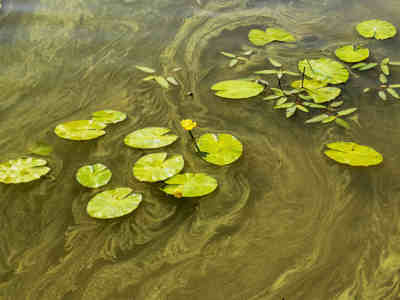 Lake Windermere Optimized 200