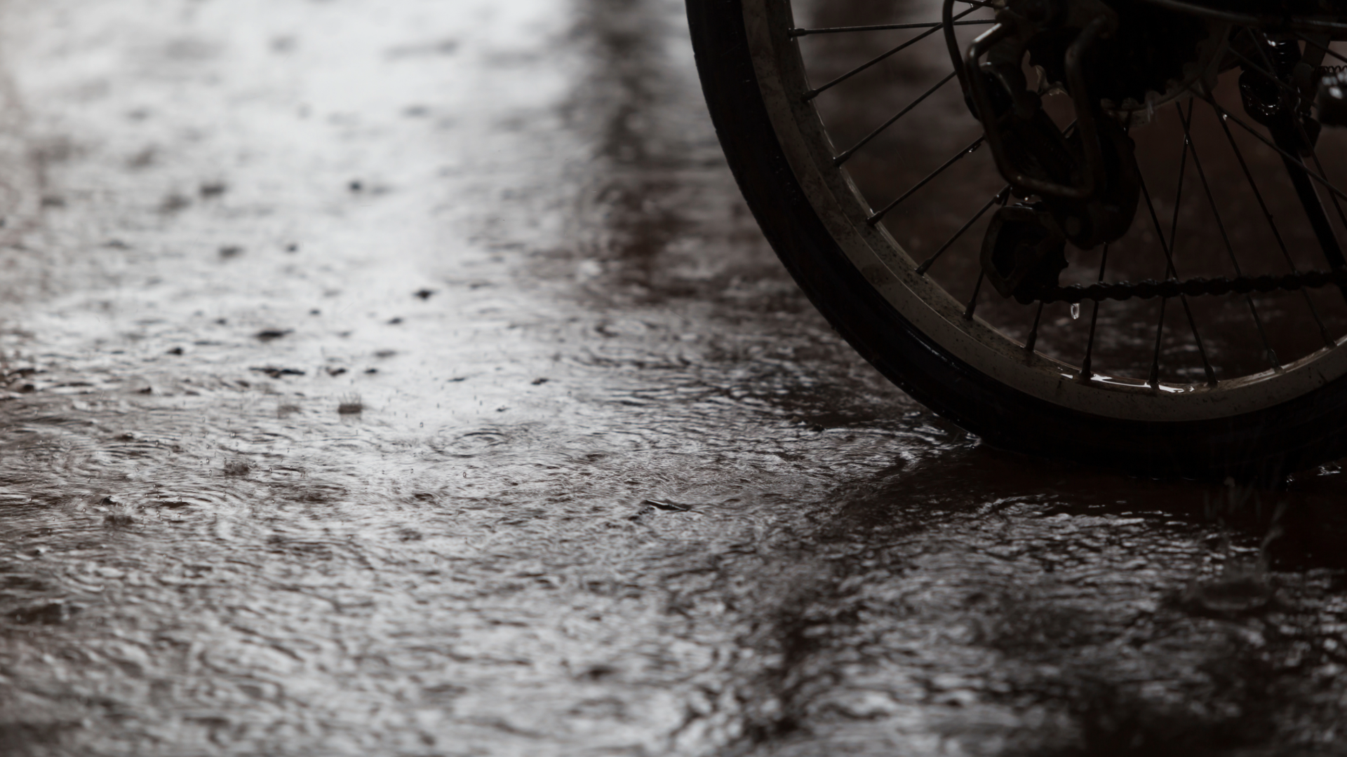 Black and white close-up of a bicycle wheel on a rain-soaked surface