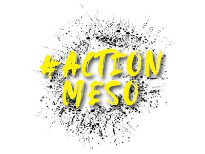 Action Meso Logo
