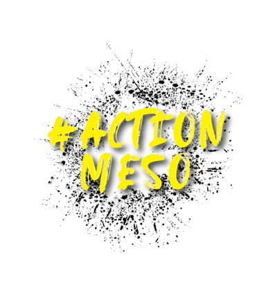 Action Meso Logo