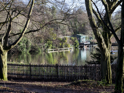 Hampstead Ponds 2