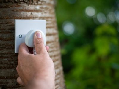 Plugging something into a tree trunk