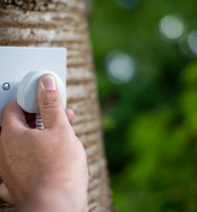 Plugging something into a tree trunk