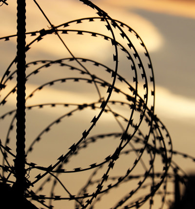 Barb wire