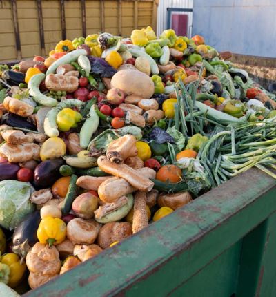 Food Waste 2