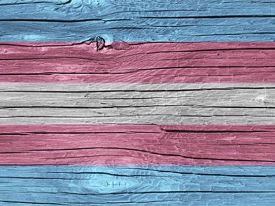 Transgender Pride Flag