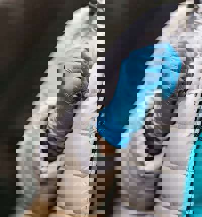 Latex Gloves
