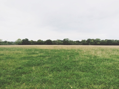Fields