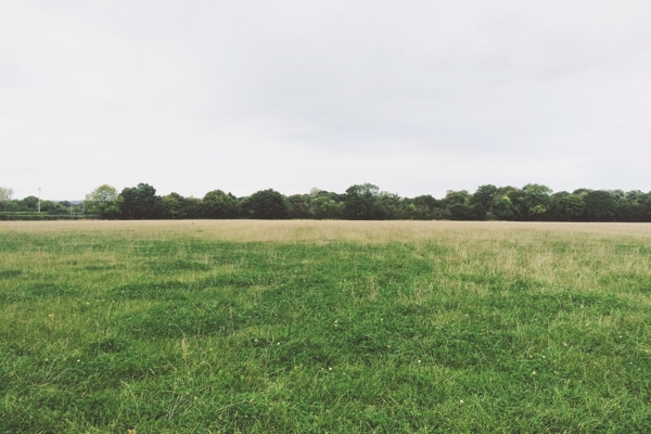 Fields 