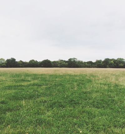 Fields